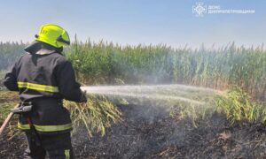  В екосистемах Дніпропетровщини ліквідували 20 пожеж (фото) 6