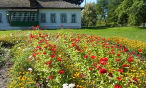 «Це знищення села і малих міст»: припинення фінансування маленьких шкіл з 1 вересня, прокоментував голова Дніпропетровської облради