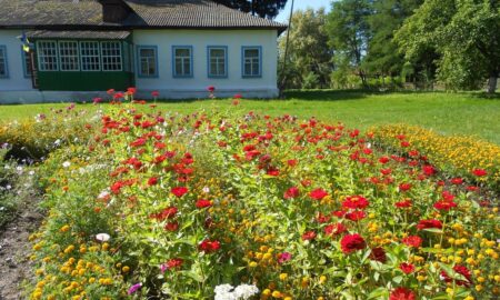 «Це знищення села і малих міст»: припинення фінансування маленьких шкіл з 1 вересня, прокоментував голова Дніпропетровської облради