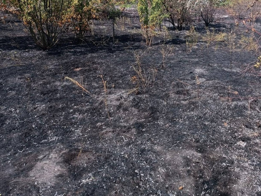 На Нікопольщині троє поранених і руйнування, також поранено жінку у Синельниківському району – ворог продовжував тероризувати область 8 серпня