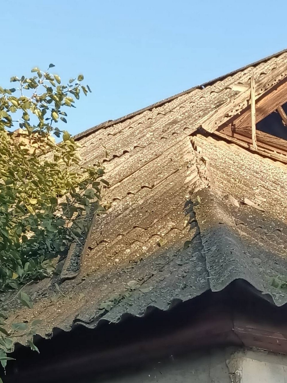 photo 2025 08 11 07 32 03
