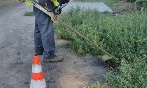 Навіщо у Нікополі косять землю замість трави: мер прокоментував (відео)