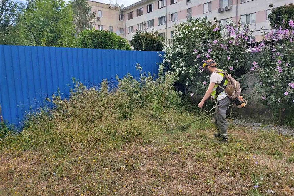 трава 2