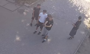 у Кривому Розі підлітки стріляли по бродячих тваринах і птахах