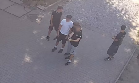 у Кривому Розі підлітки стріляли по бродячих тваринах і птахах