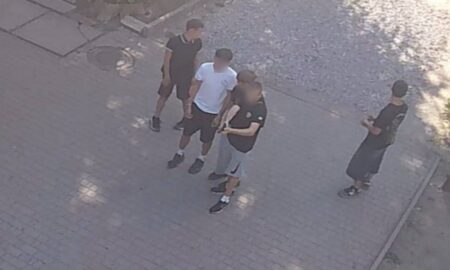 у Кривому Розі підлітки стріляли по бродячих тваринах і птахах