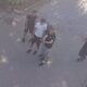 у Кривому Розі підлітки стріляли по бродячих тваринах і птахах