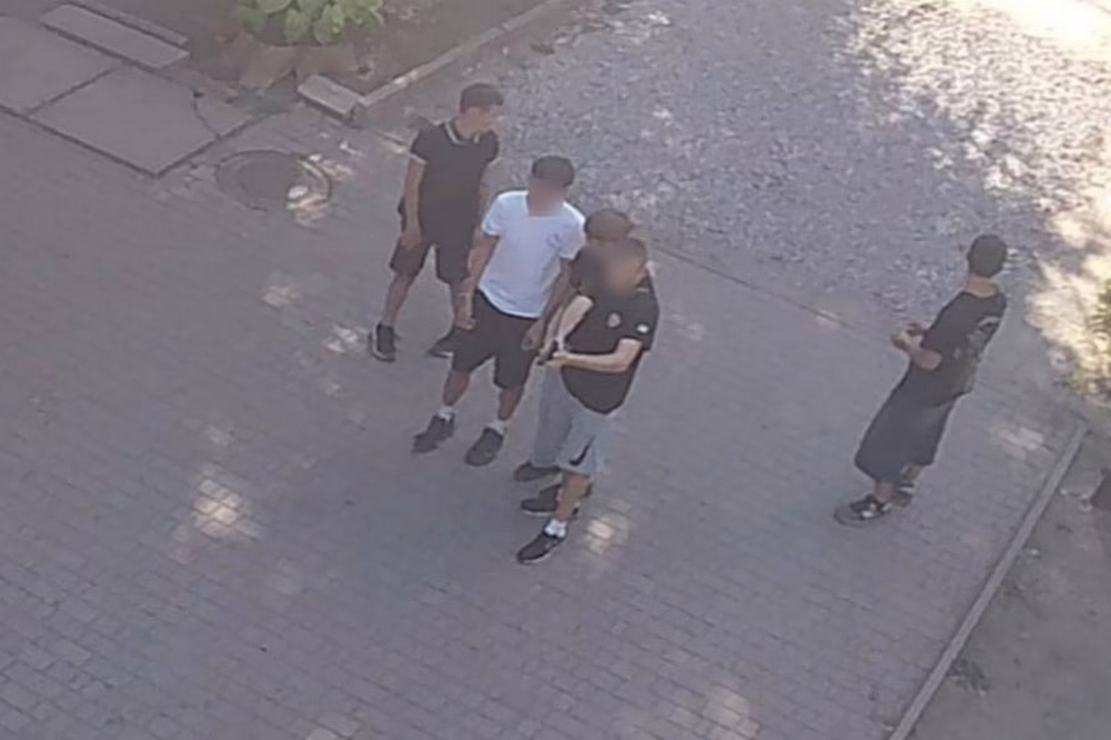 у Кривому Розі підлітки стріляли по бродячих тваринах і птахах