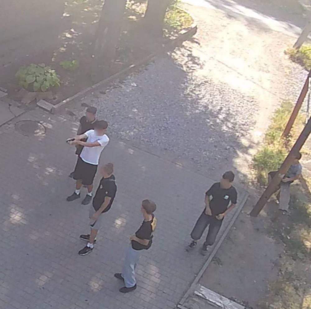 у Кривому Розі підлітки стріляли по бродячих тваринах і птахах 2