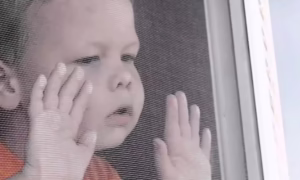 Поліція Нікопольщини