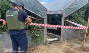 житель Нікопольщини знайшов сучасний касетний боєприпас
