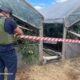 житель Нікопольщини знайшов сучасний касетний боєприпас