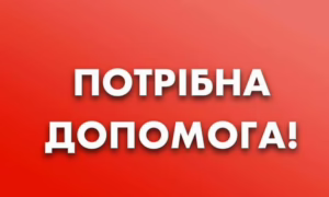 Поїдуть і котики вбитої волонтерки: у Нікополі терміново потрібна допомога на перевезення тварин