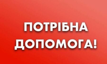 Поїдуть і котики вбитої волонтерки: у Нікополі терміново потрібна допомога на перевезення тварин 7 Поїдуть і котики вбитої волонтерки: у Нікополі терміново потрібна допомога на перевезення тварин