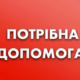 Поїдуть і котики вбитої волонтерки: у Нікополі терміново потрібна допомога на перевезення тварин