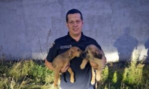На Дніпропетровщині поліцейський врятував двох маленьких цуценя, які впали у люк
