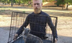 Безкоштовна стерилізація безхатніх тварин у Марганці усього два дні – як отримати послугу