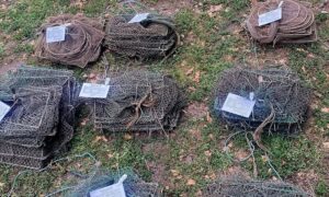 На водосховищі Нікопольщини виявили заборонені знаряддя лову і 7 раків у них