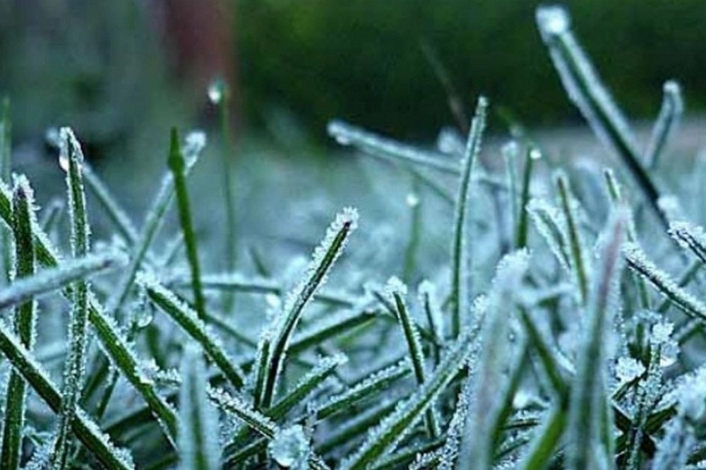 Заморозки на поверхні ґрунту: жителів Дніпропетровщини попередили про похолодання 26 і 27 вересня 1 Жителів Дніпропетровщини