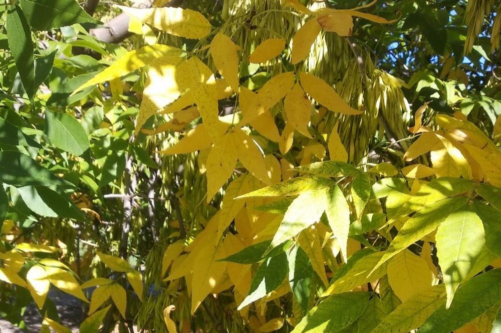 Зрідка сонце потішить теплом: погода у Нікополі 19 вересня 1 Погода у Нікополі