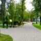 ВПО у Покрові просять пройти опитування онлайн