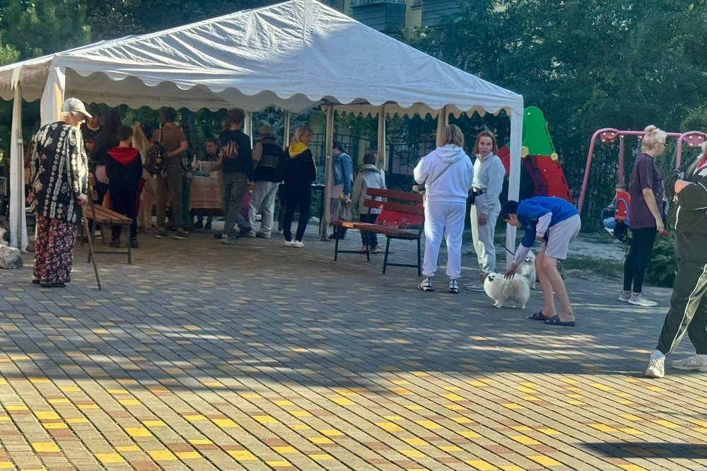 У Нікополі