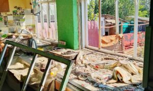 У Нікополі вбита і зросла 6