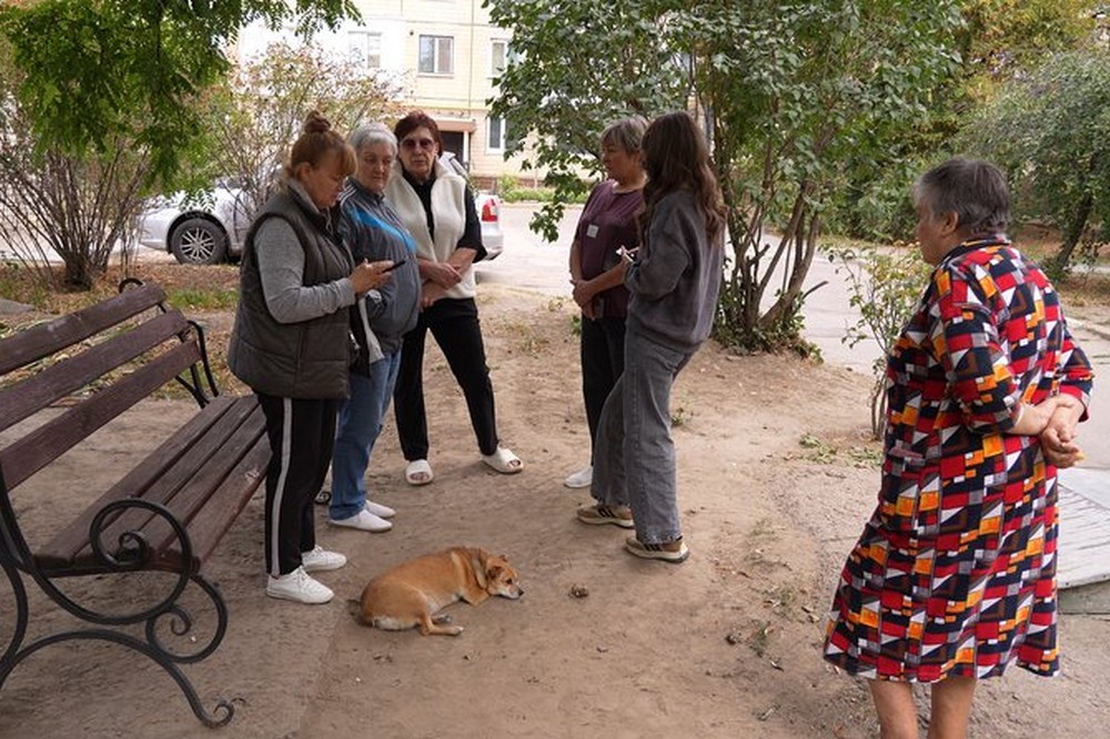 Вбивство цуценят у Нікополі: що розповідають мешканці будинку і ветеринар (відео) 1 Вбивство цуценят у Нікополі
