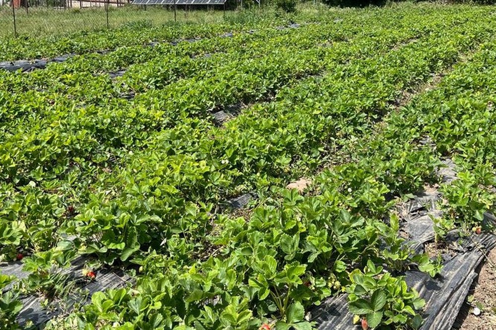 Жителям Мирівської громади нагадали про отримання квитанції на сплату мінімального податкового зобов’язання 1 Жителям Мирівської громади нагадали про отримання квитанції на сплату мінімального податкового зобов’язання