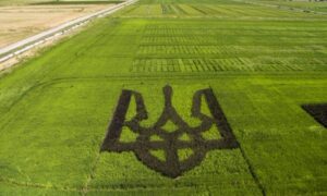 ДніпроОВА незаконно передала стратегічно важливу для оборони землю ДСГП «Ліси України» - рішення суду