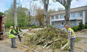 У Нікополі чистять зливову каналізацію, прополюють квітники, викорчовують пні і усувають наслідки ворожих обстрілів (фото)