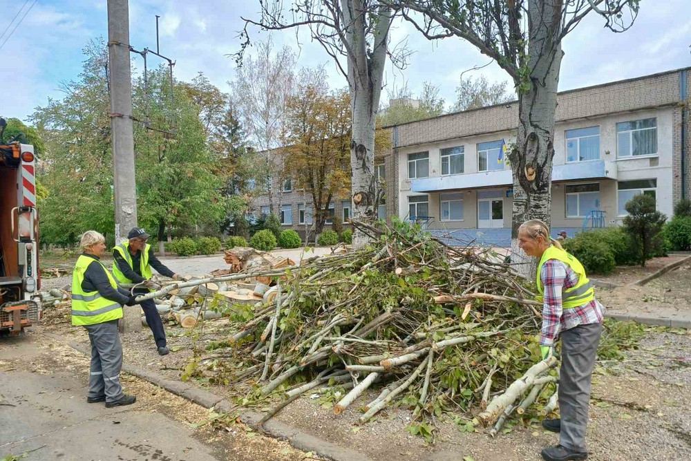 дерева 1