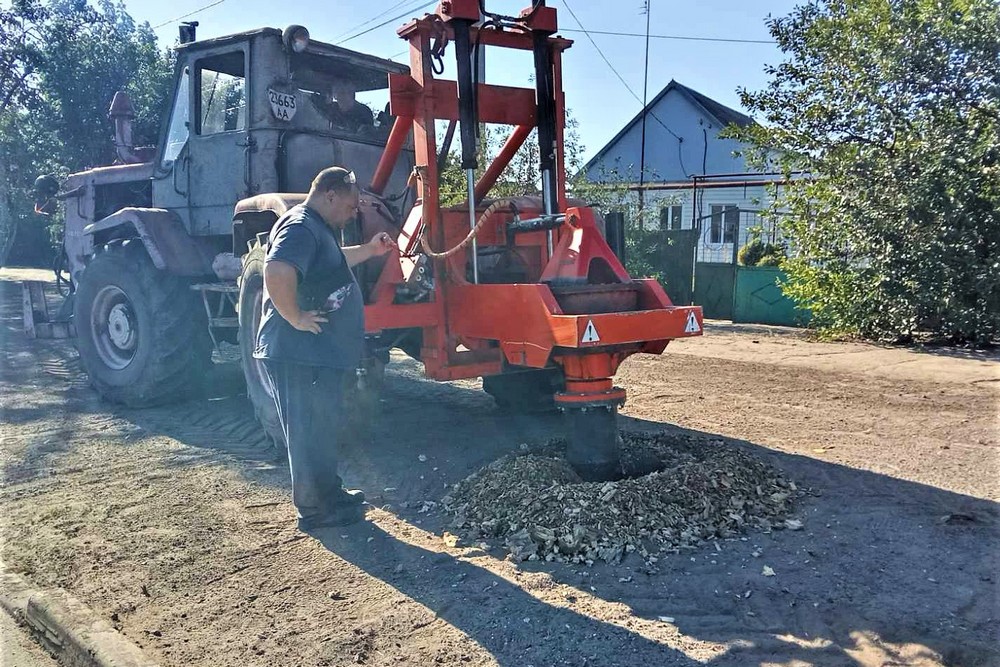 дерева пні