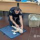 Рятувальники Нікопольщини