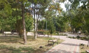 Сонячно і досить тепло: погода у Нікополі 11 вересня
