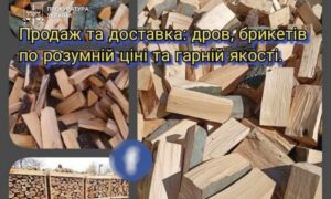 На Дніпропетровщині шахраї продавали неіснуючу деревину: схему організував ув’язнений з Кривого Рогу