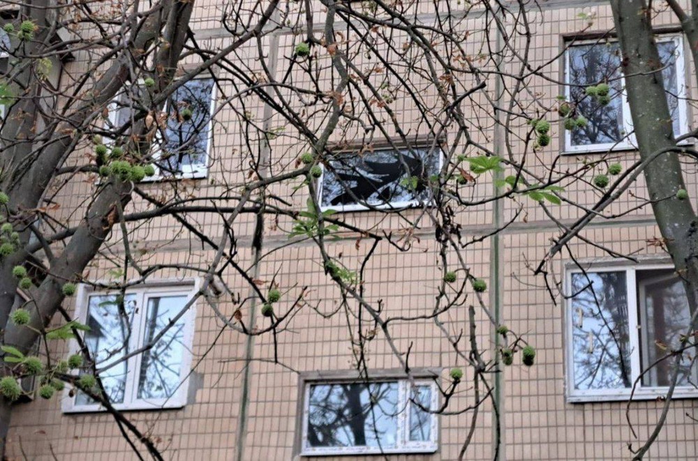 Нікопольщина