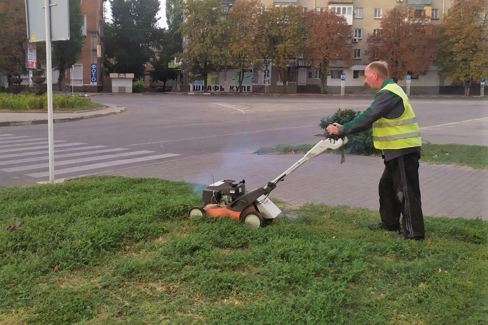 трава 1