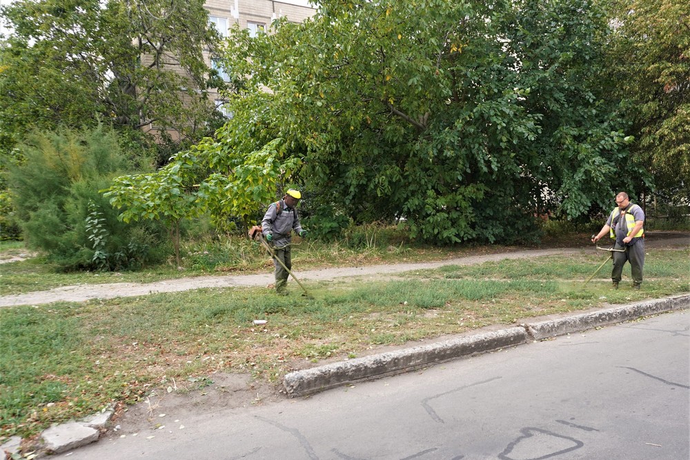 трава