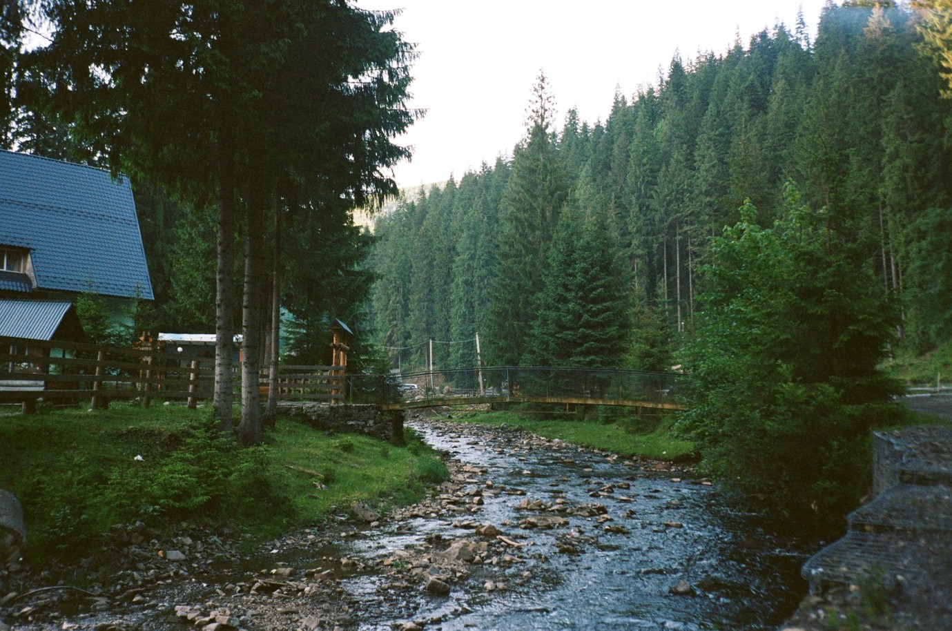 Як можна цікаво і недорого відпочити в Карпатах улітку 1 цук