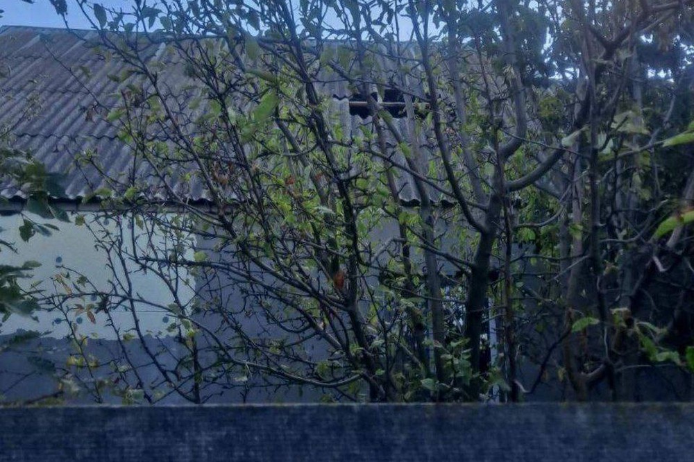 у Нікополі 3