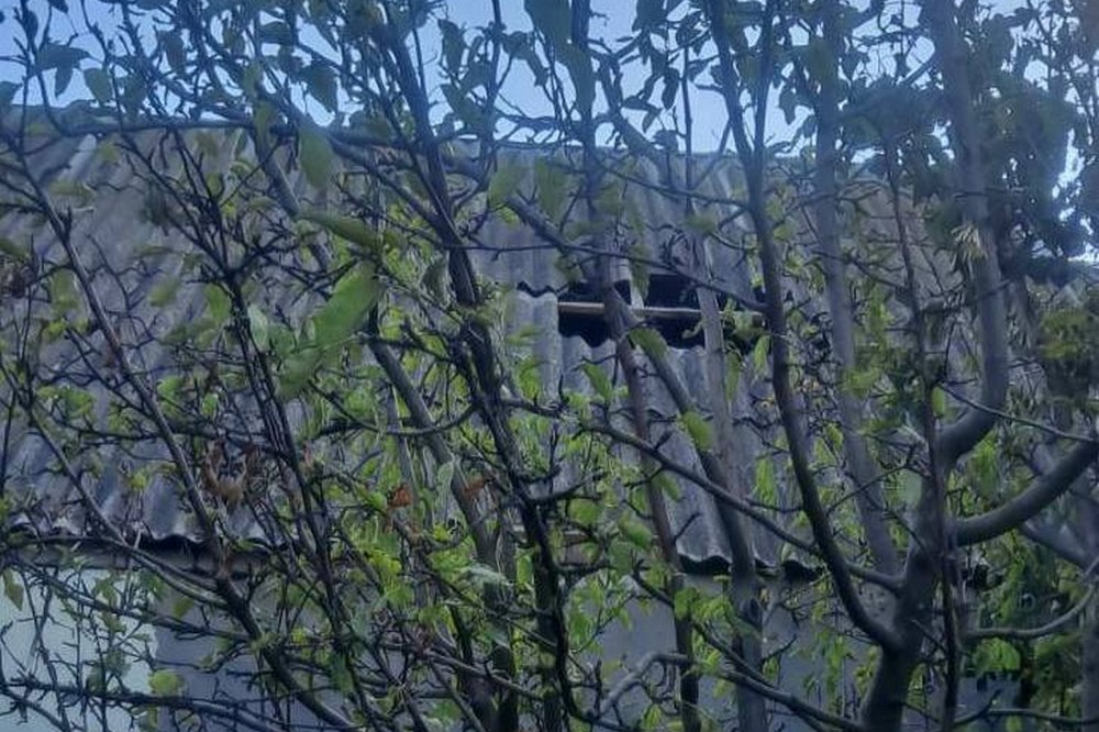 у Нікополі 4