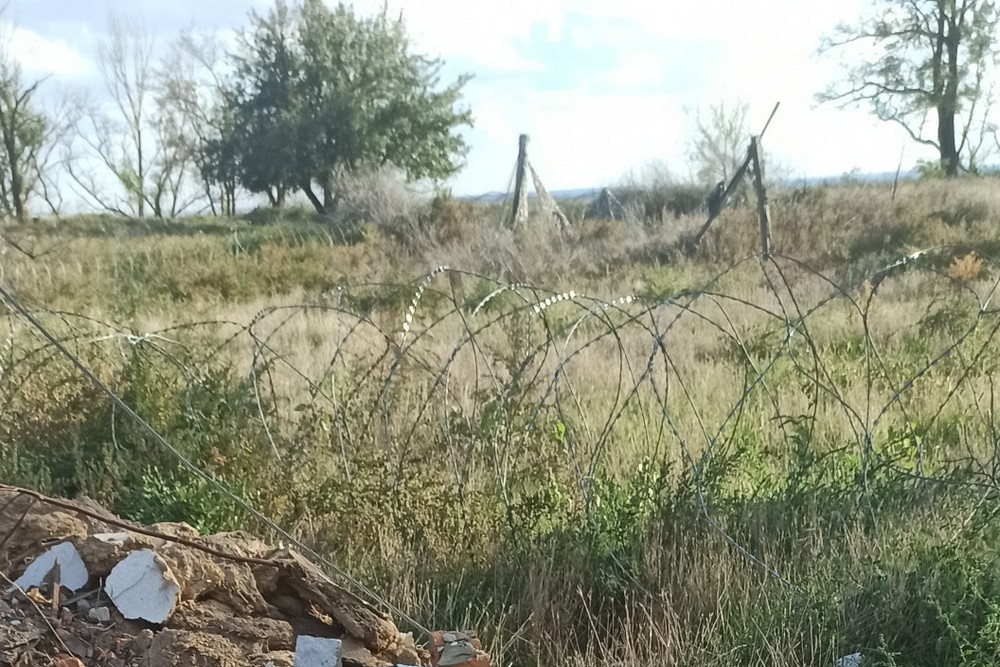 На всій вулиці залишився один незламний чоловік: у Нікополі волонтерка просить врятувати з-під обстрілів кішку з кошенятами і лісового кота (фото)