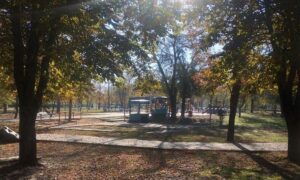 Оголосили помаранчевий рівень небезпечності через заморозки по області: якою буде погода у Нікополі 16 жовтня