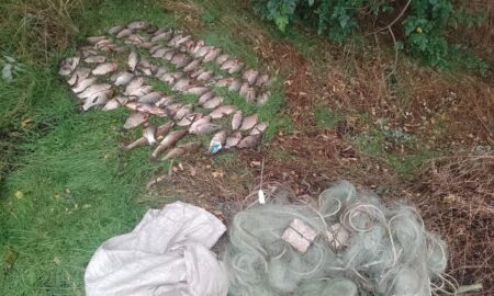 На Нікопольщині затримали браконьєра з 19 кг риби: завдав збитків державі на 142 тисячі гривень