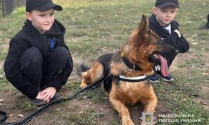 на Нікопольщині поліцейські
