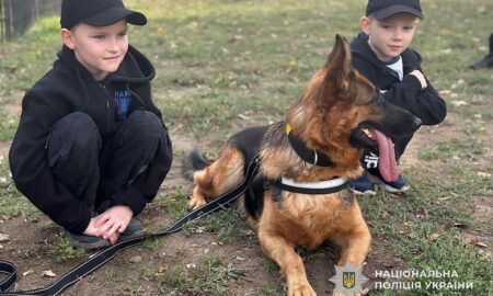 на Нікопольщині поліцейські