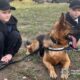 на Нікопольщині поліцейські