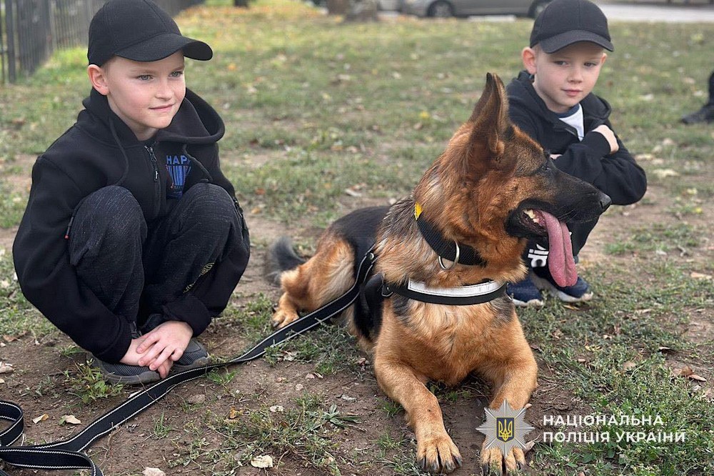 на Нікопольщині поліцейські