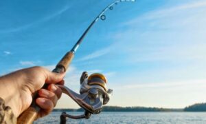 З 1 листопада на Дніпропетровщині починається заборона лову водних біоресурсів на зимувальних ямах 2 З 1 листопада на Дніпропетровщині починається заборона лову водних біоресурсів на зимувальних ямах